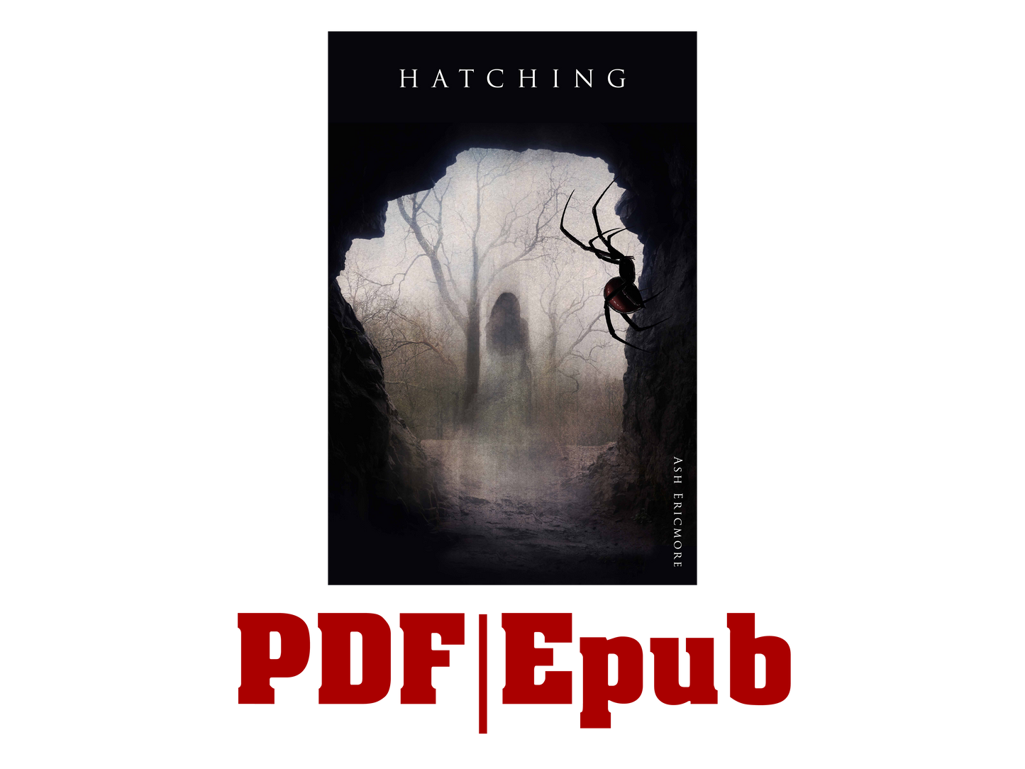 Digital Download | Hatching